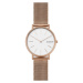 Skagen Signatur Slim SKW2784