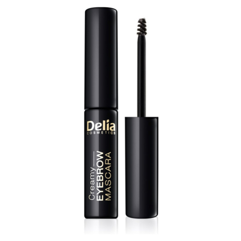 Delia Cosmetics Eyebrow Expert riasenka na obočie odtieň Graphite