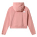 The North Face Trend Women's Cropped Hoodie