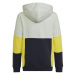 Adidas Colourblock Hoodie Jr HN8567