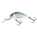 Salmo wobler hornet sinking real dace-4 cm 4 g