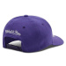 Mitchell & Ness NBA Los Angeles Lakers Team Ground 2.0 Stretch Snapback Cap HHSS3257-LALYYPPPPUR