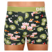 Pánske veselé boxerky Dedoles Koi fish and water lilies (D-M-UN-T-C-C-1546)