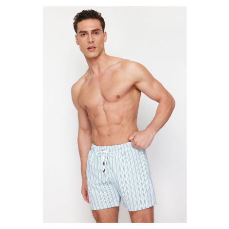 Trendyol Standard Size Seersucker Striped Swim Shorts