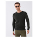 LC Waikiki Crew Neck Long Sleeve Men's Knitwear Sweater