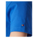 Tommy Hilfiger Tričko WW0WW28681 Modrá Regular Fit