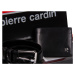 Set Pierre Cardin RS-25