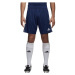 adidas CORE18 TR SHO Futbalové šortky, tmavo modrá, veľkosť