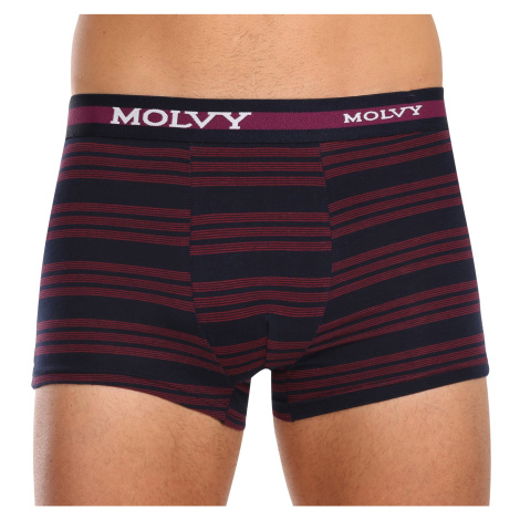 Pánske boxerky Molvy viacfarebné (MP-1032-BEU)