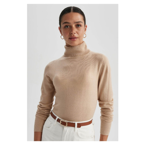 DEFACTO Regular Fit Turtleneck Basic Knitwear Sweater