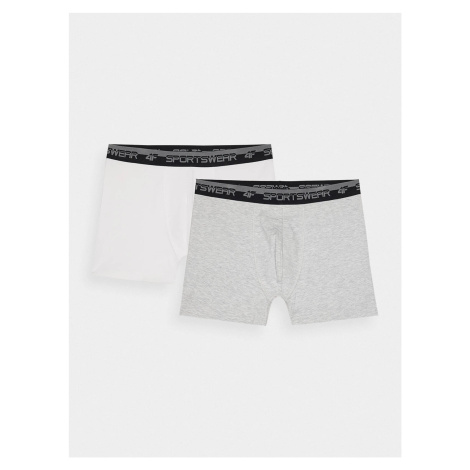 Men's Boxer Underwear 4F - Grey/White