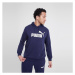 Puma Mikina S Kapucňou Ess Big Logo Hoodie Tr