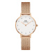 DANIEL WELLINGTON DW00100528