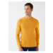 LC Waikiki Crew Neck Long Sleeve Men's Knitwear Sweater