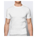 Men's short-sleeved T-shirt ATLANTIC - white