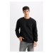 DEFACTO Regular Fit Crew Neck Jacquard Basic Plain Sweatshirt