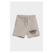 Šortky Dsquared Shorts Light Grey Melange