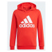 Dětská mikina Essentials Big Logo Hoodie Jr GN4037 - Adidas 134cm