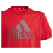 Tričko adidas Big Logo Tee Jr IJ6262 152 cm