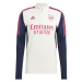 Pánská tréninková mikina Arsenal London M model 18016815 - ADIDAS