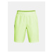 Under Armour Boys' shorts UA Tech Woven Wordmark Short - Boys