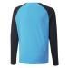 Brankárska mikina Puma teamPacer GK LS Jersey Jr 704939 40