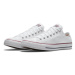 Tenisky Converse Chuck Taylor All Star Canvas Low Top M7652C Optical White