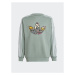 Adidas Mikina Animal Print Crew Sweatshirt IB8596 Zelená Loose Fit