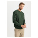 DEFACTO Regular Fit Crew Neck Cotton Basic Plain Sweatshirt