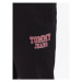 Tommy Jeans Teplákové nohavice Graphic DM0DM16337 Čierna Regular Fit