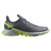 Salomon Alphacross 4 GTX