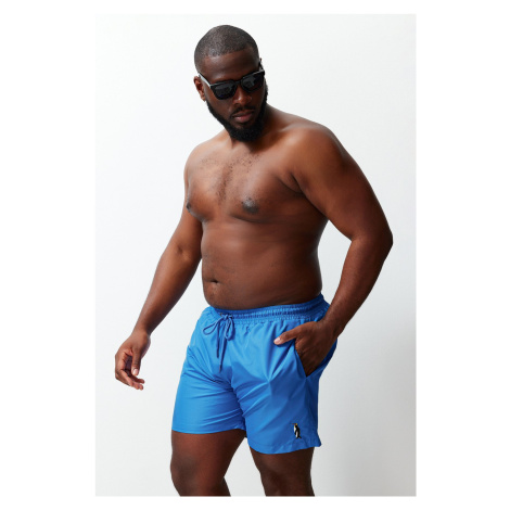 Trendyol Blue Embroidered Plus Size Swim Shorts