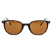 Ray-ban  Occhiali da Sole  Elliot RB2197 902/33  Slnečné okuliare Hnedá