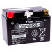 Yuasa Battery YTZ14S