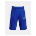 Under Armour Shorts UA BASELINE SHORT MFO-BLU - Guys