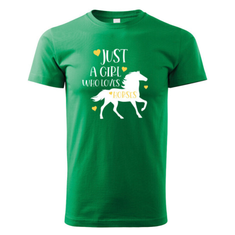 Detské tričko pre milovníkov koní s potlačou Just a girl who loves horses
