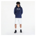 Mikina Nike Men's AC TF Hoodie PO Boston Red Sox Midnight Navy/ Midnight Navy