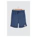 Trendyol Indigo Men's Regular Fit Shorts &amp; Bermuda