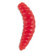 Saenger iron trout gumové nástrahy bee maggots 2,5 cm-farba sr