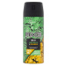 Axe dezodorant Green mojito