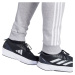 Nohavice adidas Tiro 24 Sweat M IS2153