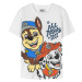 SHORT SHIRT SINGLE JERSEY PAW PATROL