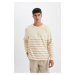 DEFACTO Comfort Regular Fit Relaxed Fit Crew Neck Striped Thick Fabric Sweatshirt