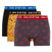 DEFACTO Regular Fit 3-pack Boxer