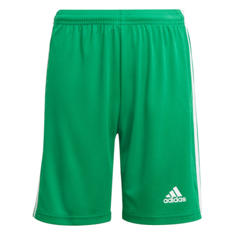 ADIDAS PERFORMANCE Športové nohavice 'Squadra 21'  zelená / biela