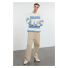 Trendyol Blue Casual Oversize Crew Neck Striped Knitwear Sweater