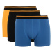 DEFACTO Regular Fit 3-pack Boxer