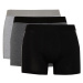 DEFACTO Regular Fit 3-Pack Boxer