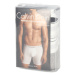 Calvin Klein BOXER BRIEF 3PK