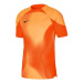 Pánske brankárske tričko Dri-FIT ADV Gardien 4 M DH7760-819 - Nike